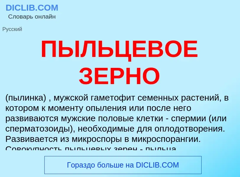 ¿Qué es ПЫЛЬЦЕВОЕ ЗЕРНО? - significado y definición