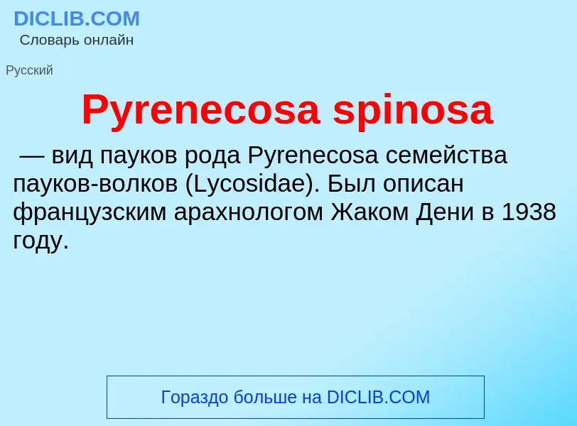 ¿Qué es Pyrenecosa spinosa? - significado y definición