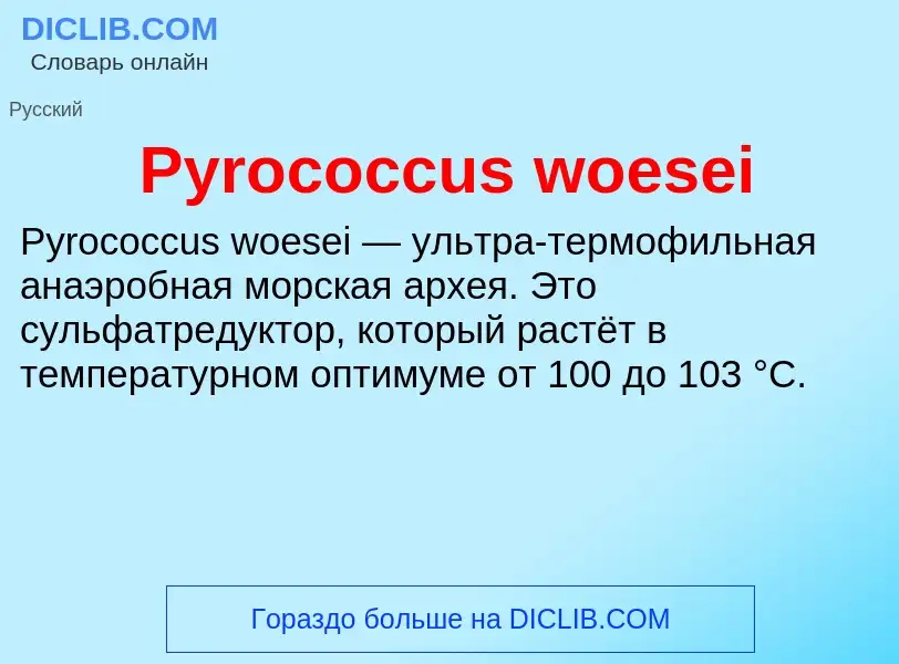 Что такое Pyrococcus woesei - определение