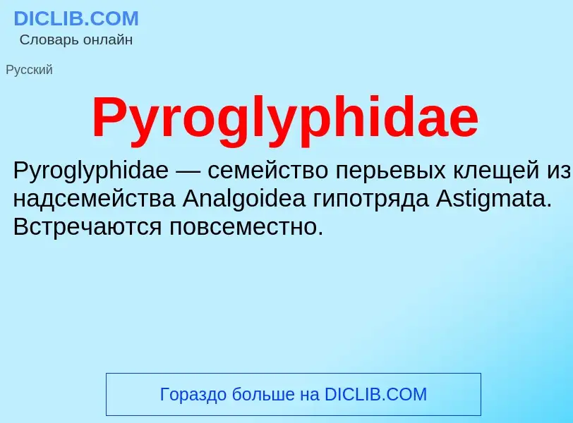 ¿Qué es Pyroglyphidae? - significado y definición