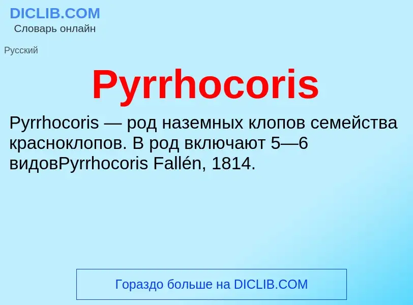 Что такое Pyrrhocoris - определение