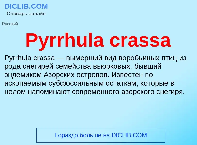 Что такое Pyrrhula crassa - определение