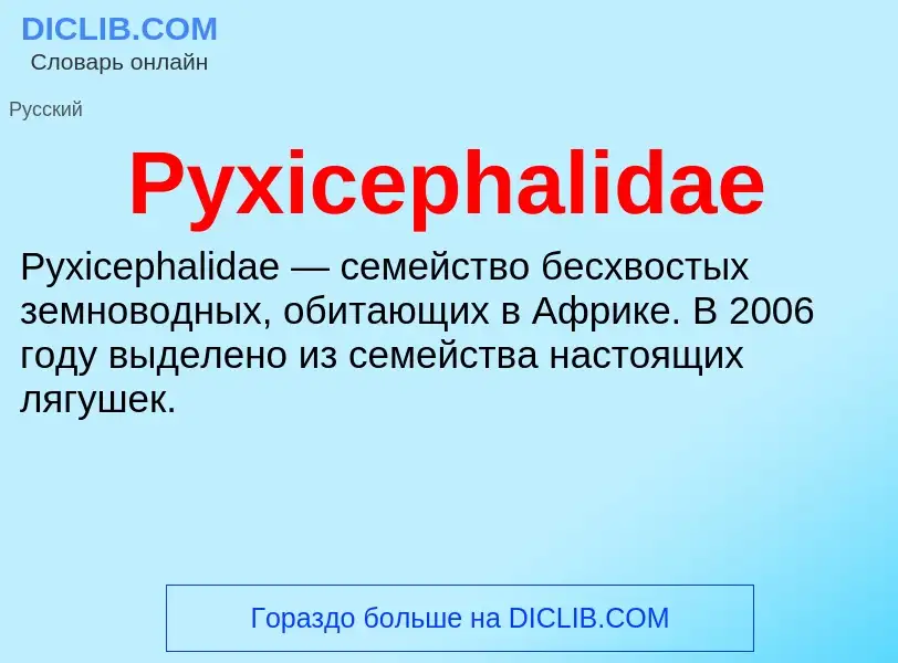 Τι είναι Pyxicephalidae - ορισμός