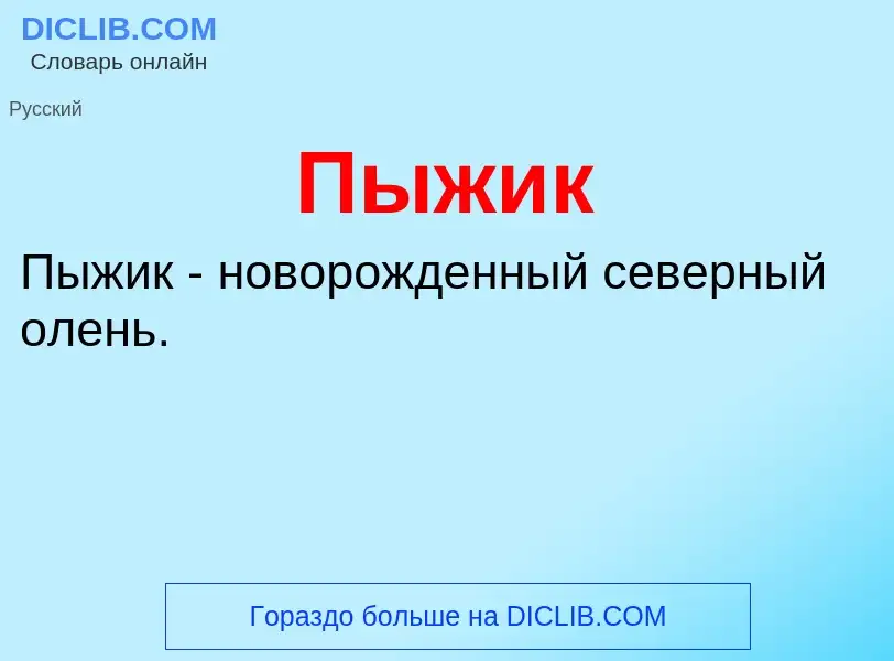 O que é Пыжик - definição, significado, conceito