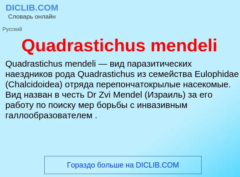 Что такое Quadrastichus mendeli - определение