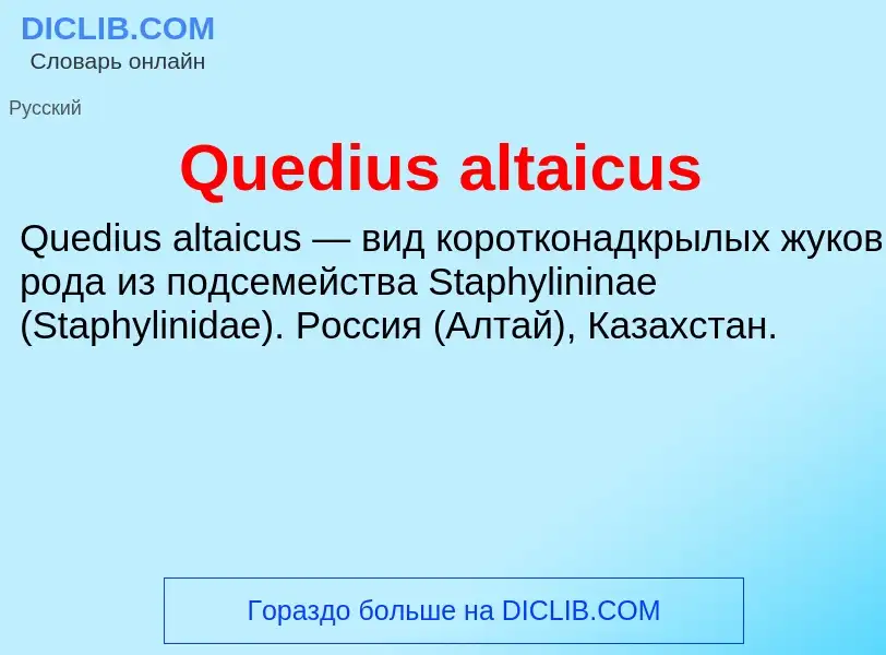 Что такое Quedius altaicus - определение