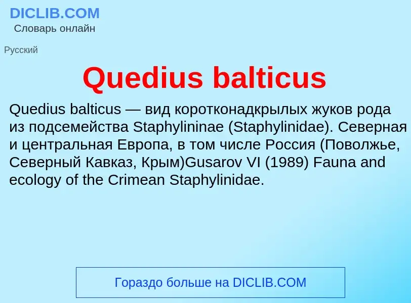 Что такое Quedius balticus - определение