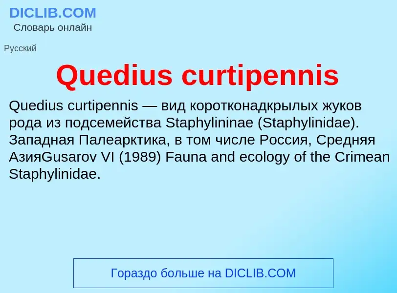 Что такое Quedius curtipennis - определение