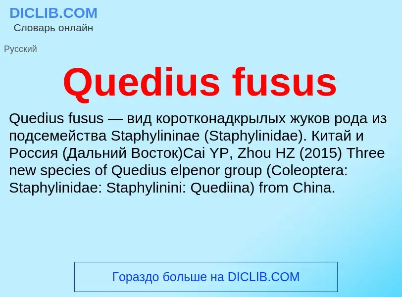 Что такое Quedius fusus - определение