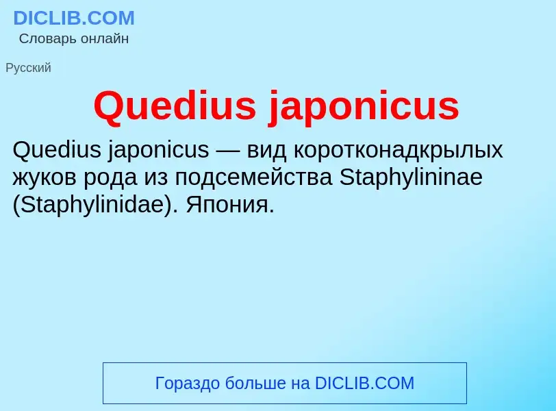 Что такое Quedius japonicus - определение