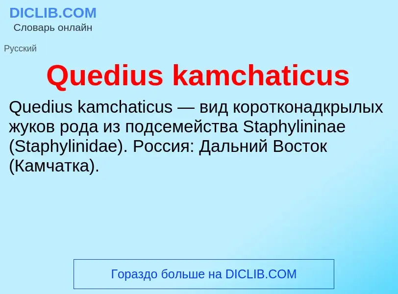 Τι είναι Quedius kamchaticus - ορισμός