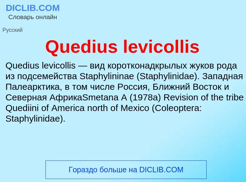 Что такое Quedius levicollis - определение