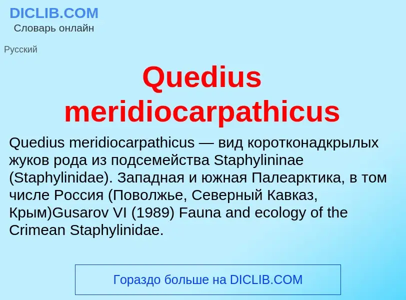 Что такое Quedius meridiocarpathicus - определение