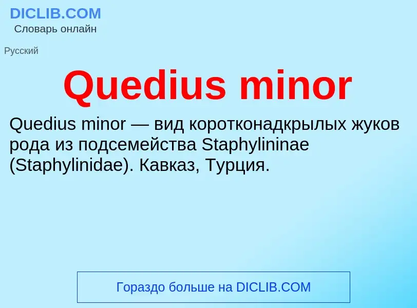 Что такое Quedius minor - определение