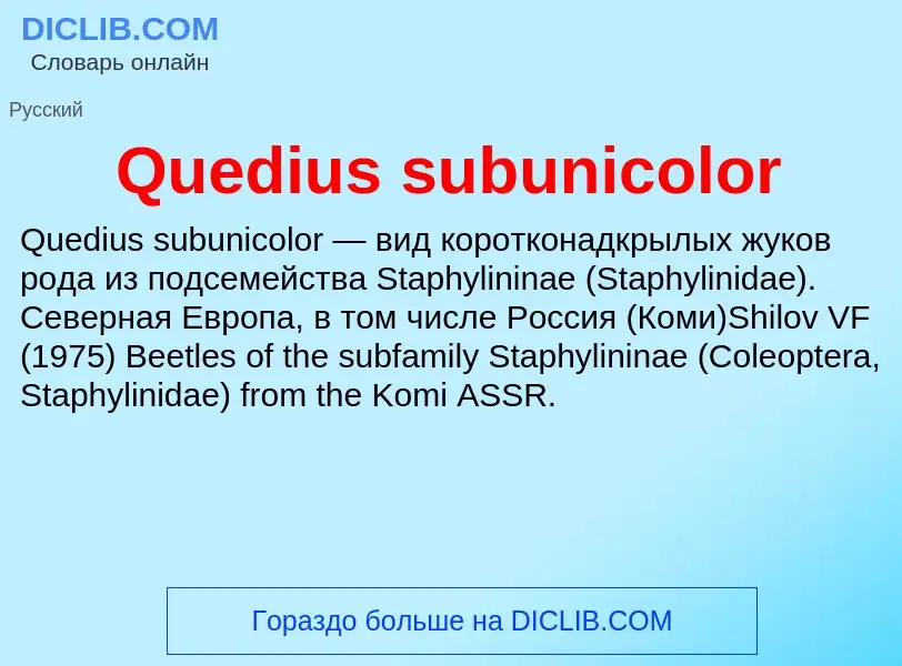 Что такое Quedius subunicolor - определение