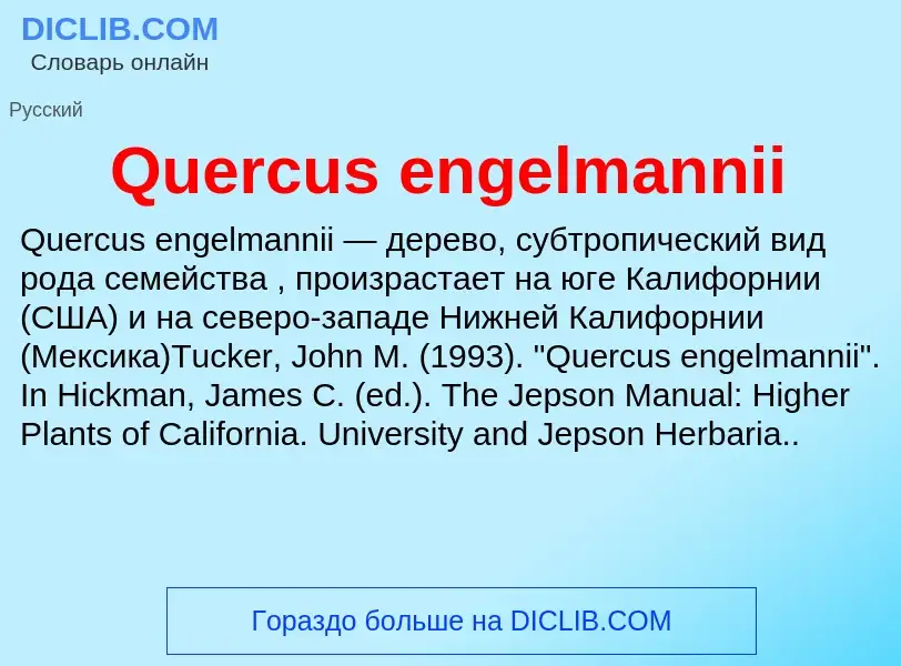 Что такое Quercus engelmannii - определение