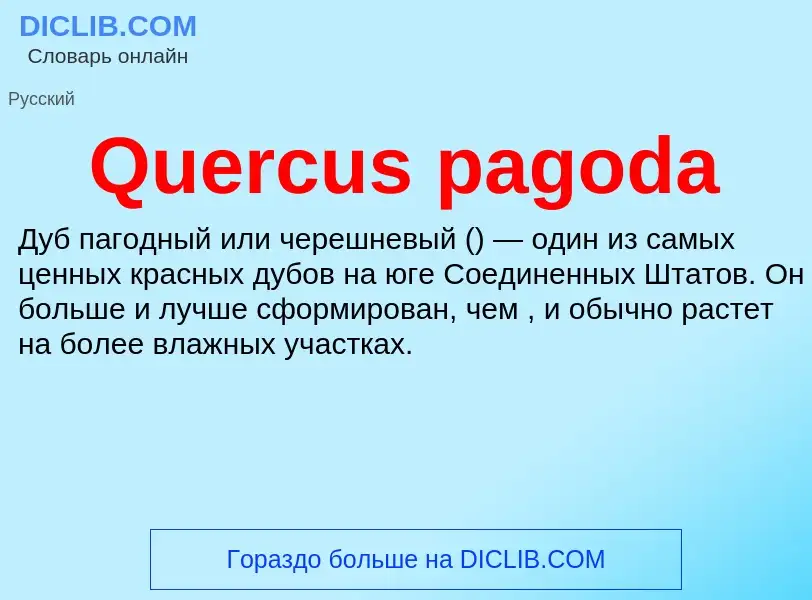 Что такое Quercus pagoda - определение