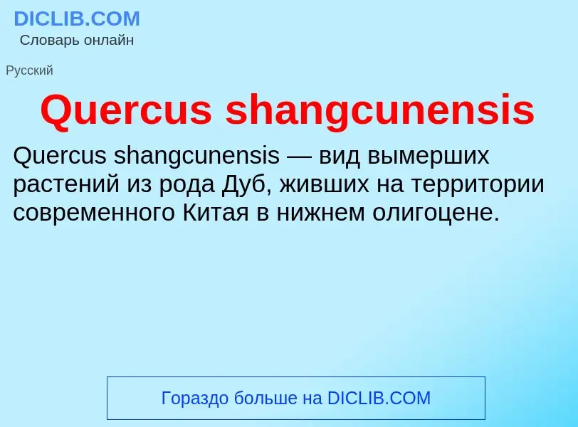 Что такое Quercus shangcunensis - определение