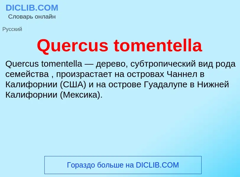 Что такое Quercus tomentella - определение