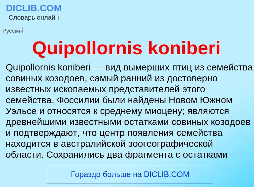 Τι είναι Quipollornis koniberi - ορισμός