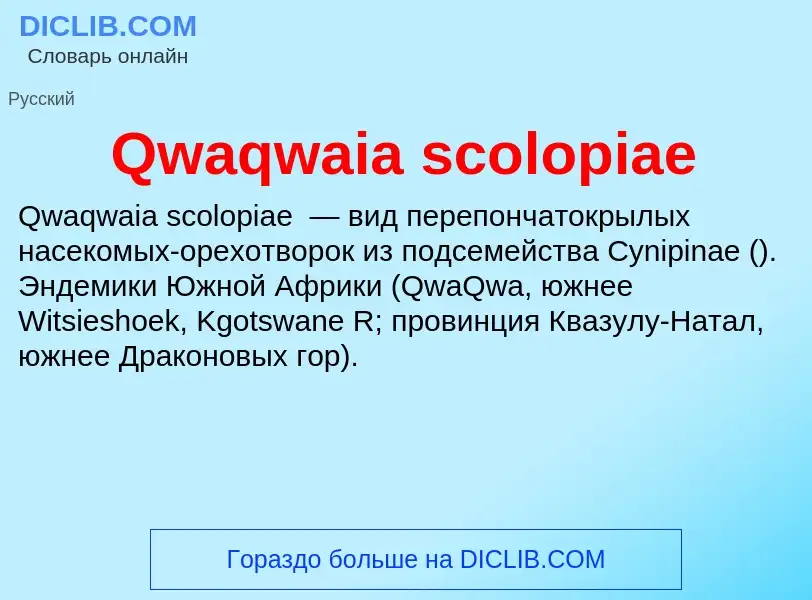 Τι είναι Qwaqwaia scolopiae - ορισμός