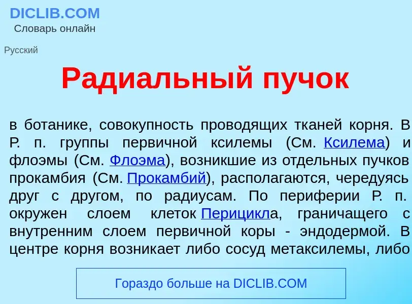 Qu'est-ce que Ради<font color="red">а</font>льный пуч<font color="red">о</font>к - définition