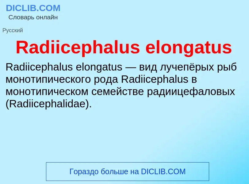 Τι είναι Radiicephalus elongatus - ορισμός