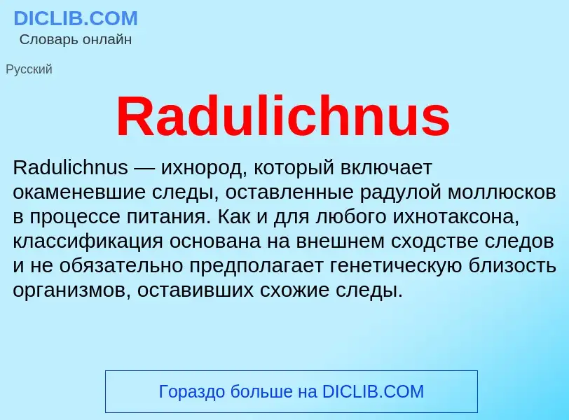 Τι είναι Radulichnus - ορισμός