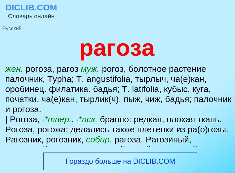 Was ist рагоза - Definition