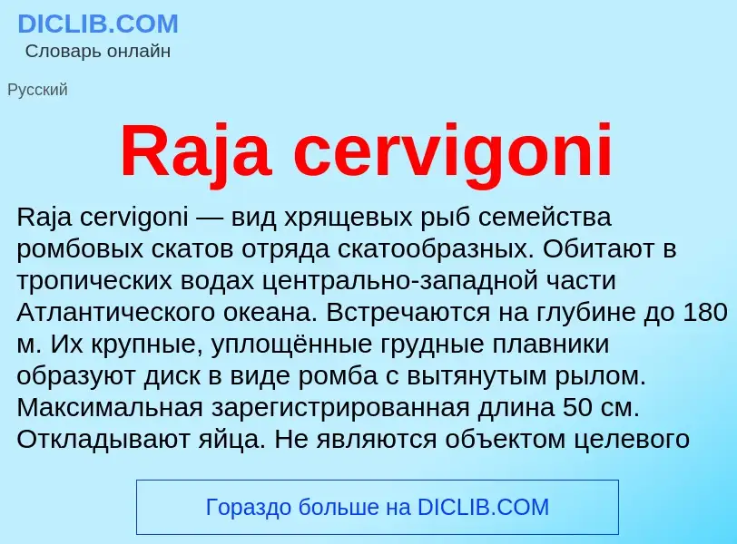 Что такое Raja cervigoni - определение