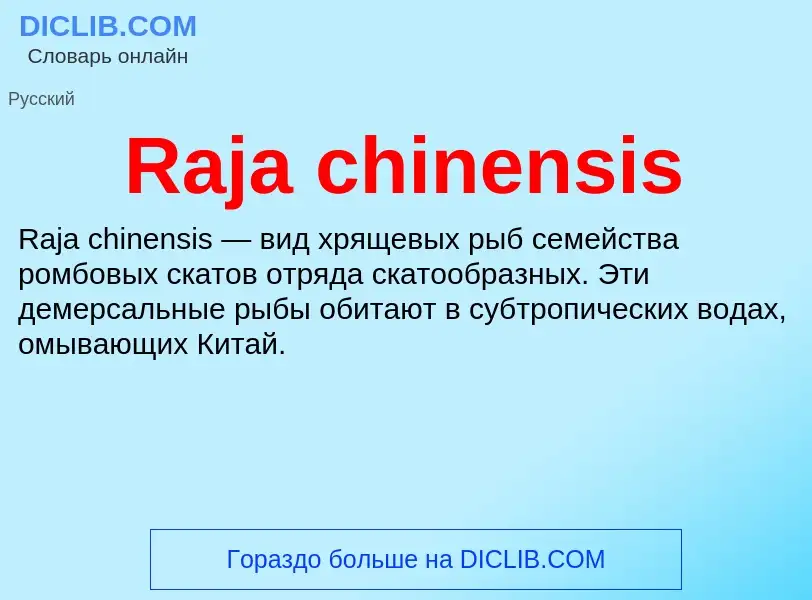 Что такое Raja chinensis - определение