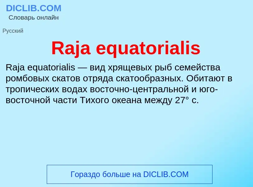 Что такое Raja equatorialis - определение