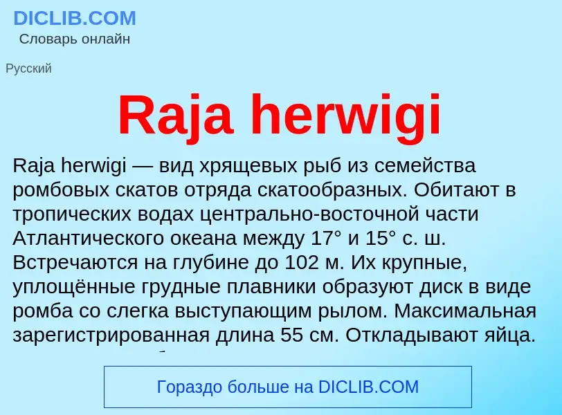 Что такое Raja herwigi - определение