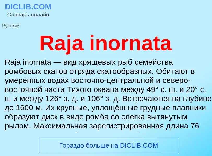 Что такое Raja inornata - определение