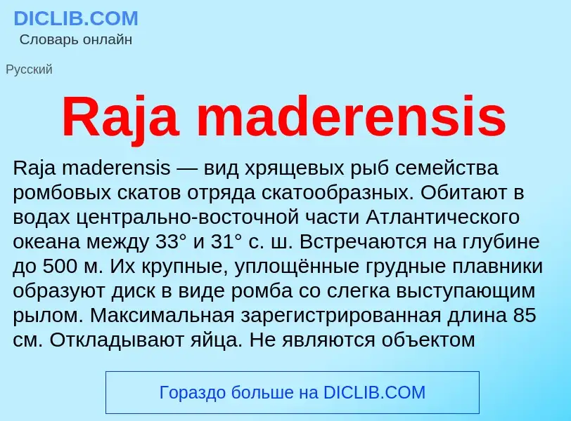 Что такое Raja maderensis - определение