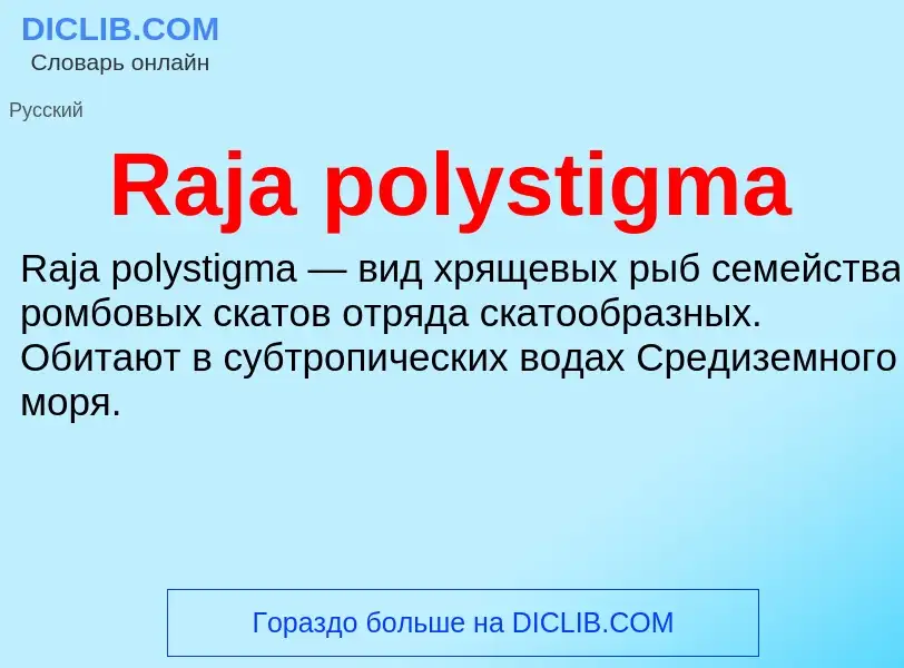 Что такое Raja polystigma - определение