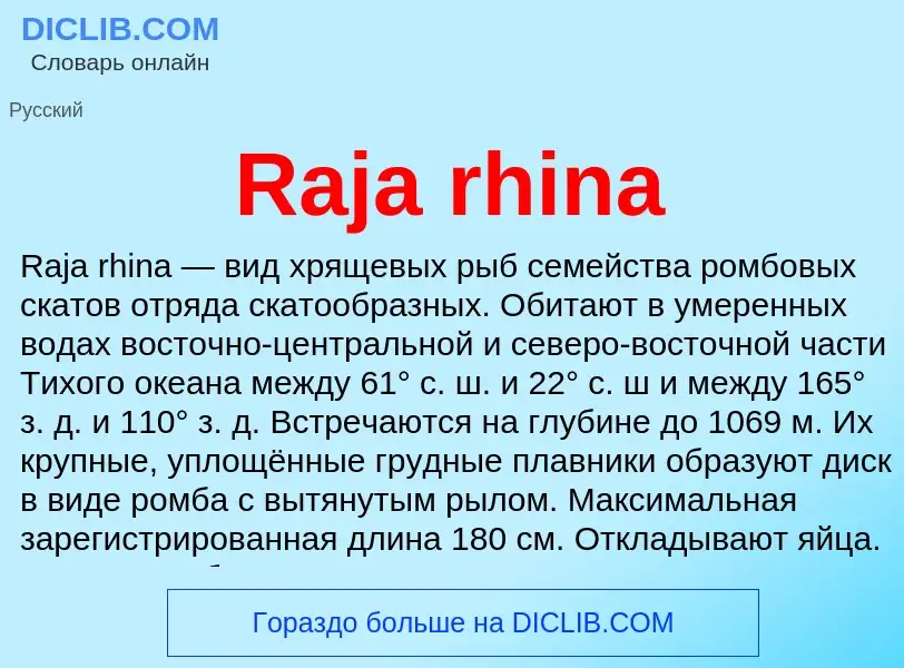 Что такое Raja rhina - определение