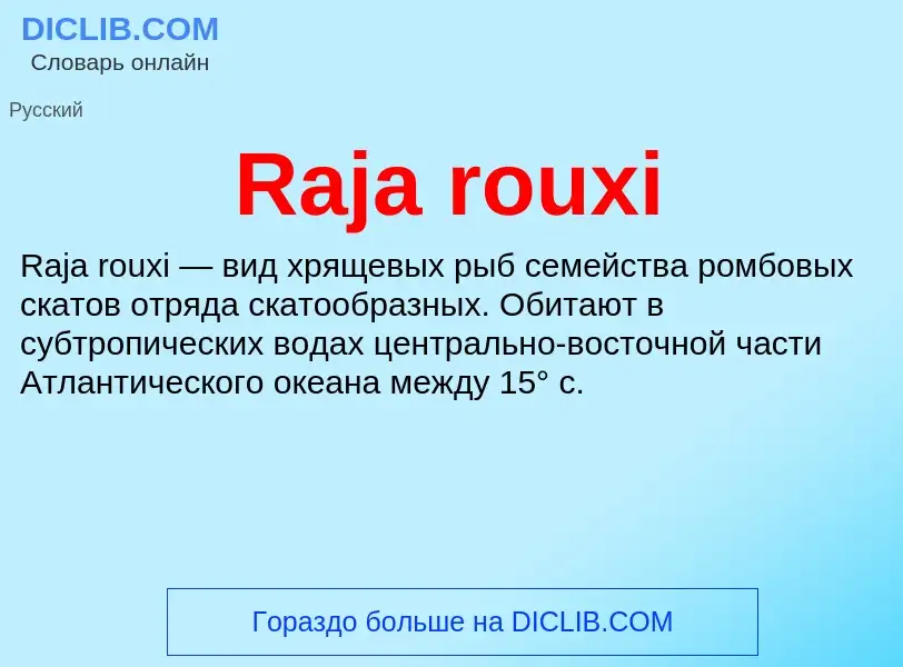 Что такое Raja rouxi - определение