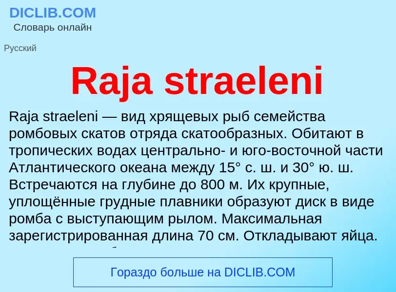 Что такое Raja straeleni - определение