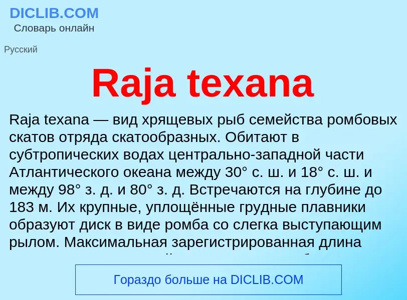 Что такое Raja texana - определение