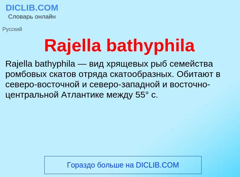 Что такое Rajella bathyphila - определение