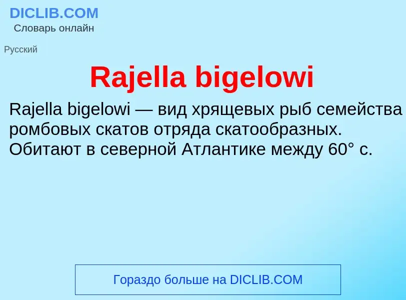 Что такое Rajella bigelowi - определение