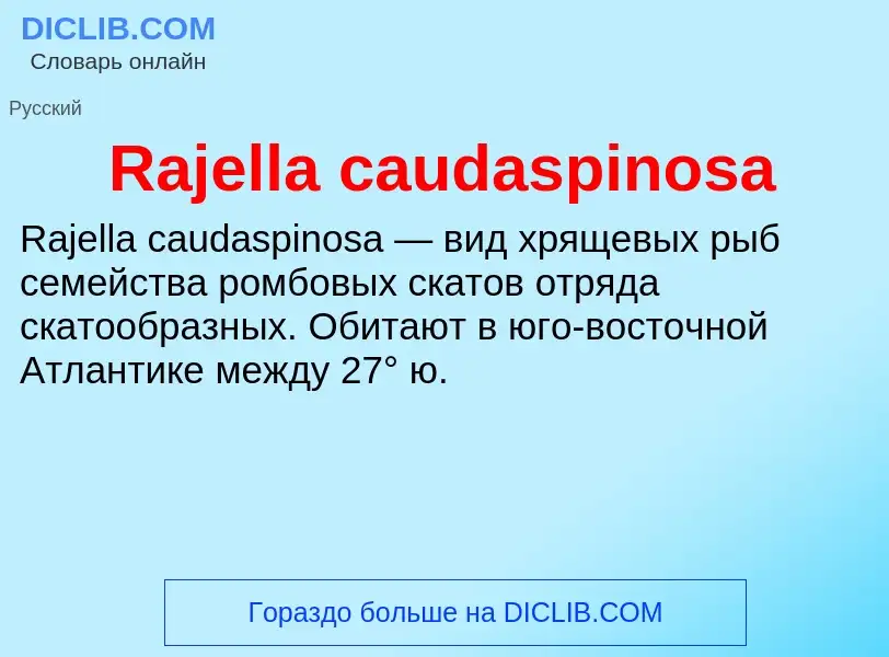 Что такое Rajella caudaspinosa - определение