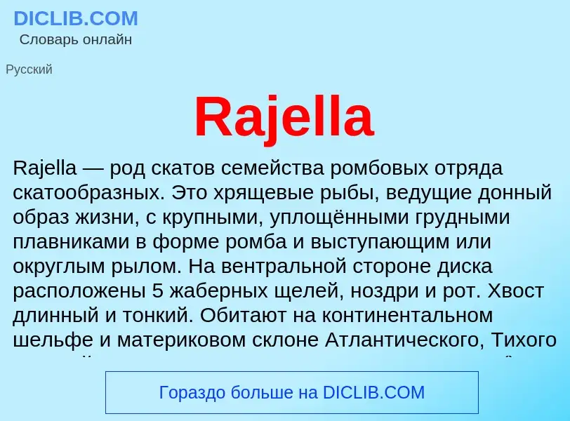 Что такое Rajella - определение