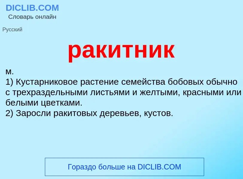 What is ракитник - definition