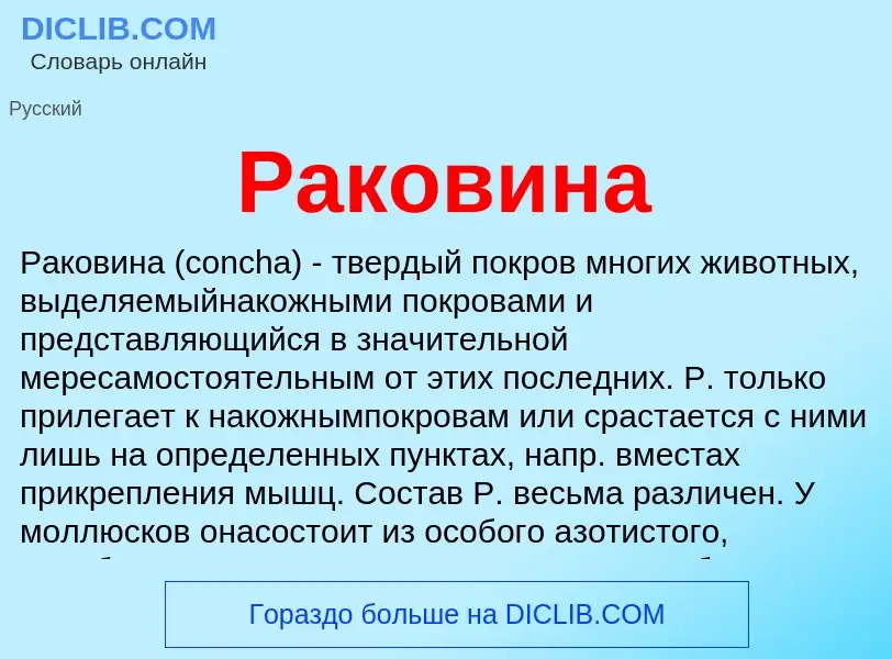 Was ist Раковина - Definition