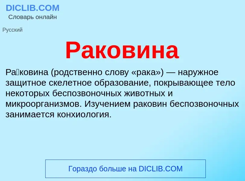 Wat is Раковина - definition