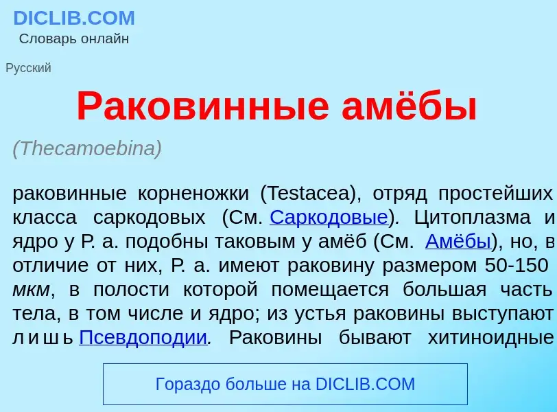 Что такое Р<font color="red">а</font>ковинные амёбы - определение