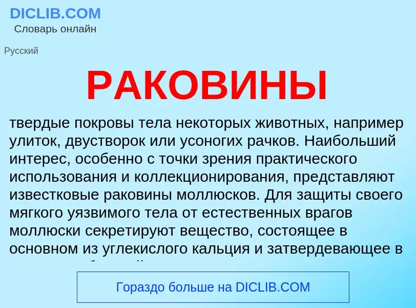 Что такое РАКОВИНЫ - определение