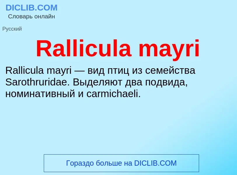 Что такое Rallicula mayri - определение